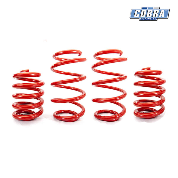 Cobra Lowering Springs Ford Transit Connect 2013-2018