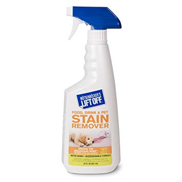 Motsenbocker's Food, Drink and Pet Stain Remover  651ml